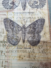 Load image into Gallery viewer, Hazelwood